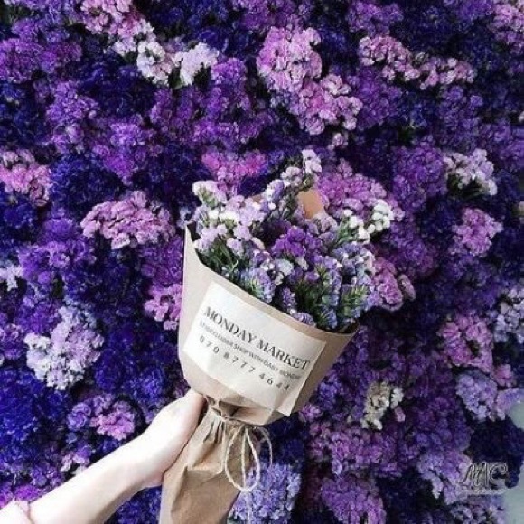 lovely_lilacs
